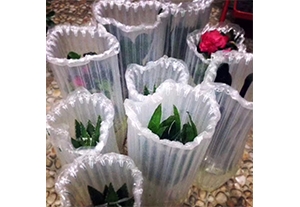苏州鲜花盆栽气柱袋